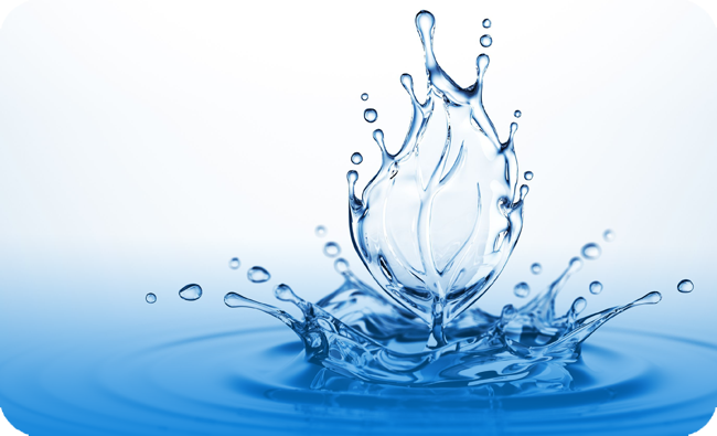 H202 Plant Technology